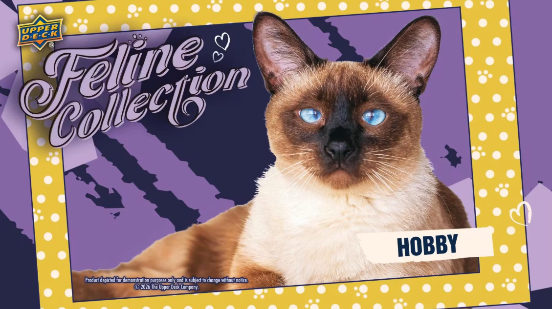 2026 Upper Deck Feline Collection Hobby Pack