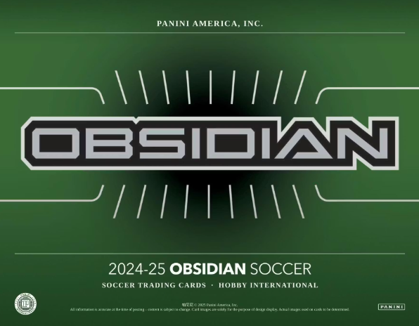 2024-25 Panini Obsidian International Soccer Hobby 12-Box Case